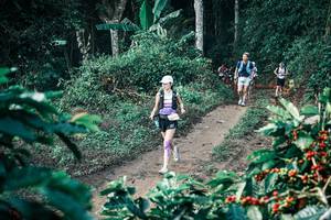 BIB: 
                            <button type="button" onclick="openModal(25798012)" class="btn btn-primary btn-sm float-right btn-popup" data-toggle="modal" data-target=".modal-high-quality">
                        <i class="fas fa-shopping-cart"></i> Add to Cart
                    </button>
                                            <button type="button" onclick="isThisMe(25798012, true)" class="btn btn-success btn-sm float-right btn-popup btn-isme hidden" data-toggle="tooltip" data-placement="bottom" title="นี่คือรูปของคุณใช่ไหม คลิกที่นี่เพื่อเอาเข้าอัลบั้ม">
                        <i class="fas fa-plus"></i> Add to album
                    </button>
                    <button type="button" onclick="isThisMe(25798012, false)" class="btn btn-warning btn-sm float-right btn-popup btn-isnotme hidden">
                        <i class="fas fa-ban"></i> Remove from album
                    </button>